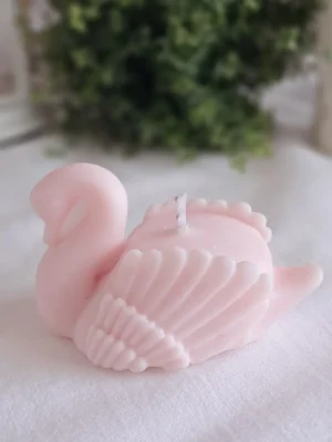 Vela CISNE