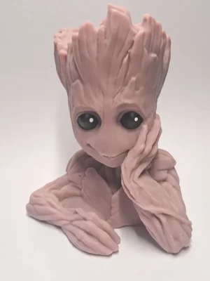 vela GROOT