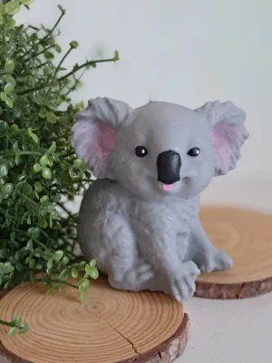 vela KOALA
