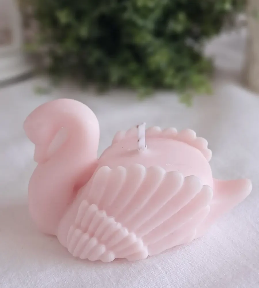 Vela CISNE