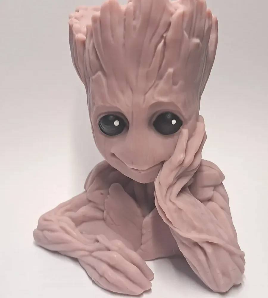 vela GROOT