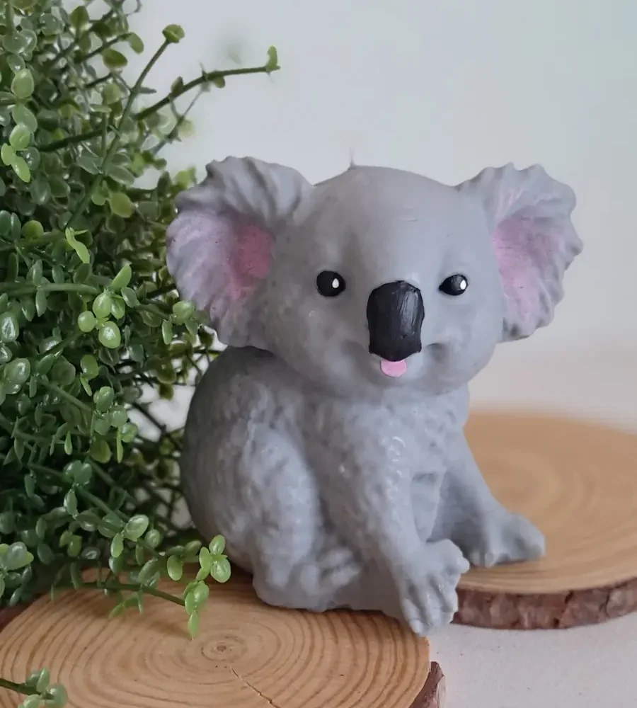 vela KOALA