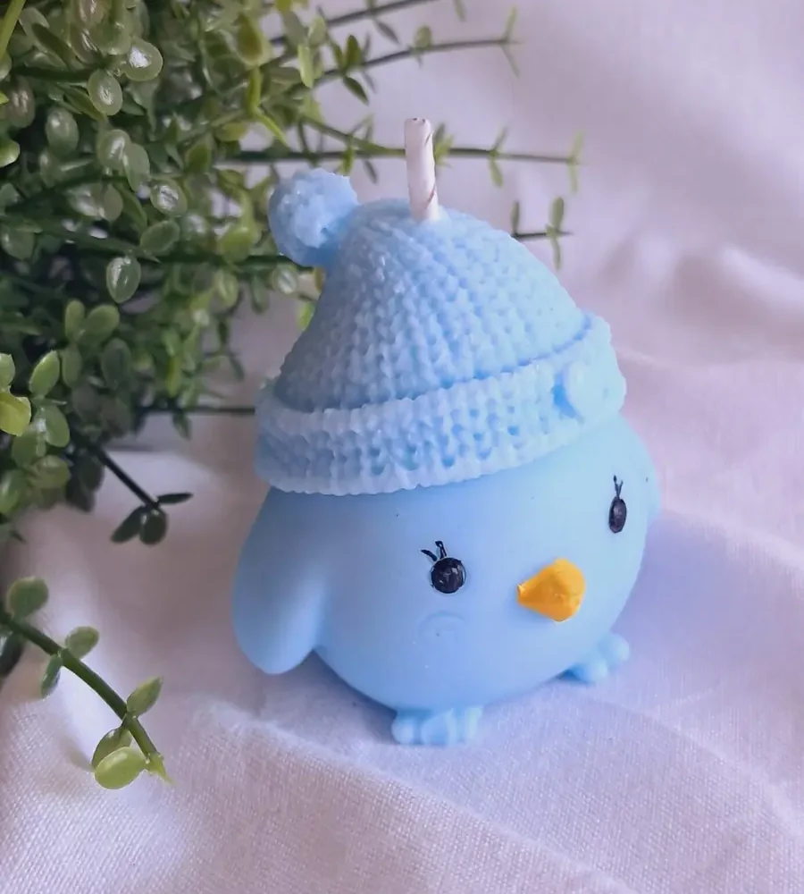 Vela POLLITO