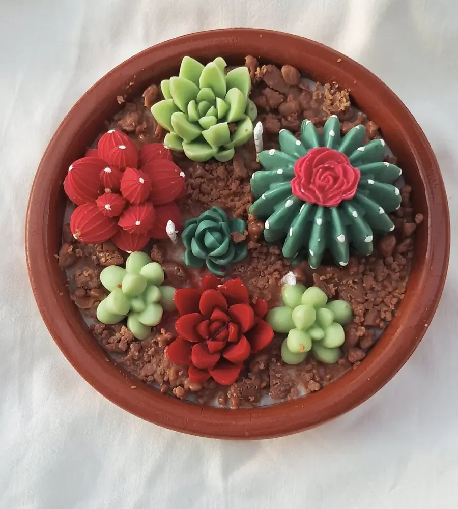 vela TERRARIO